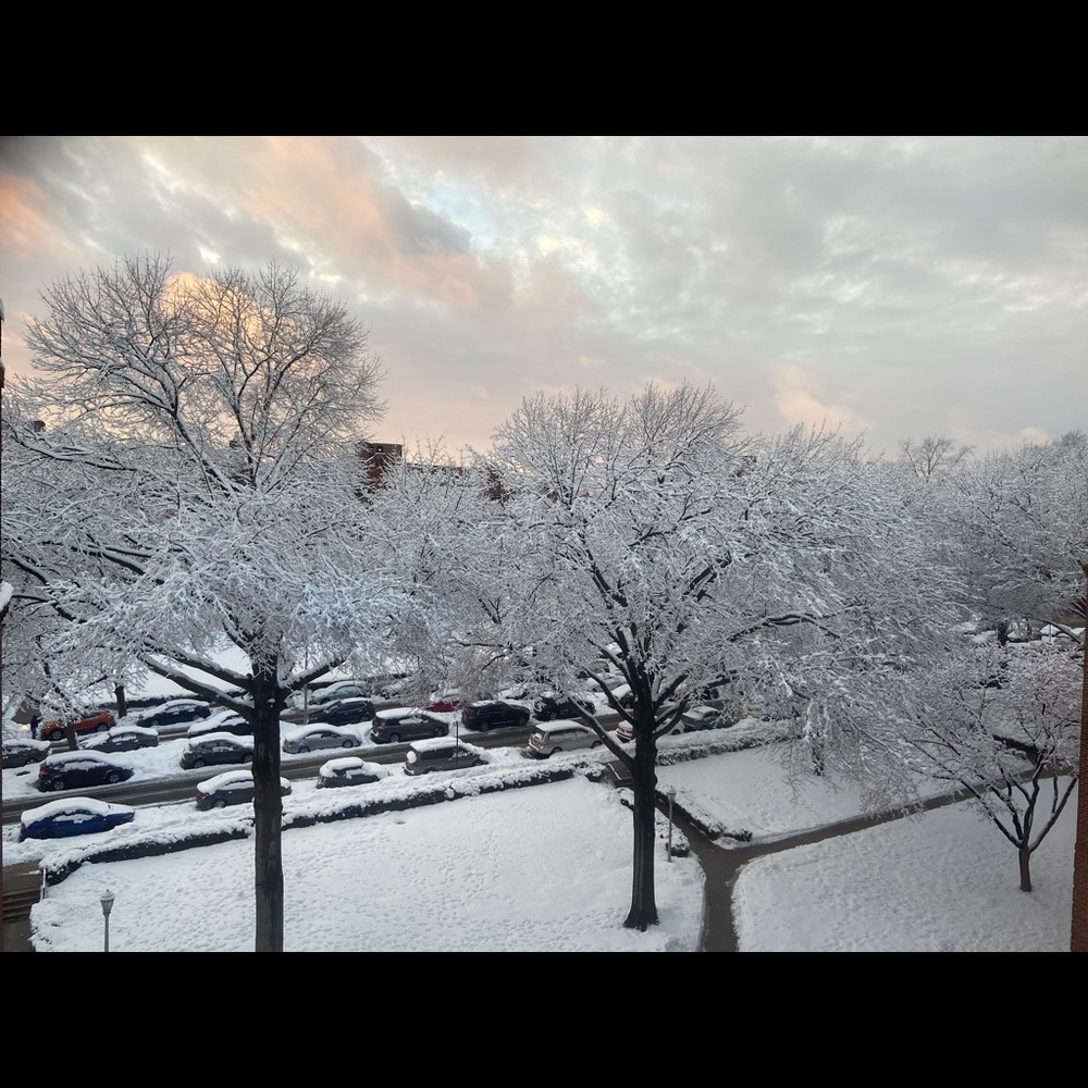 Meet your Posher, Melisa